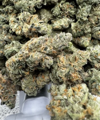 Funky Charms (Smalls / Medium) AAAA