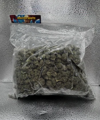 IMG_2572Walter White