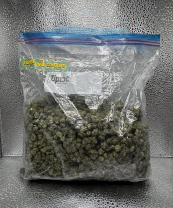 IMG_2583Tangerine Cookies