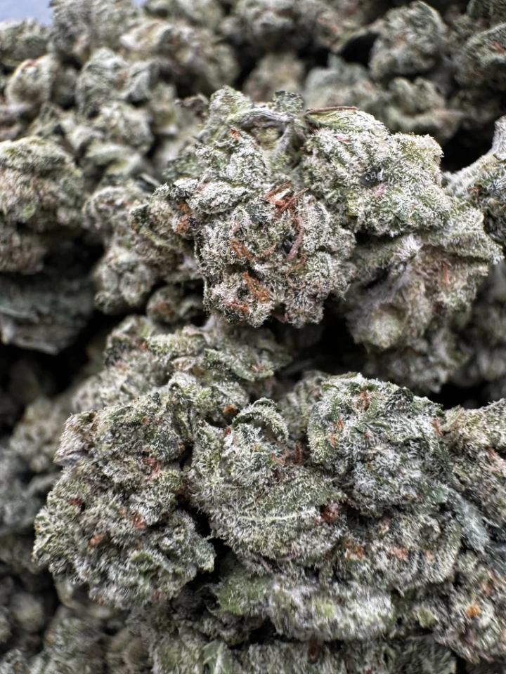 IMG_2585Tangerine Cookies