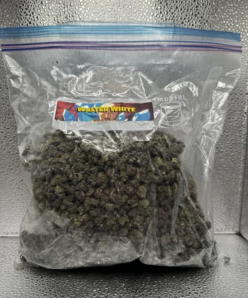 IMG_2593Walter White