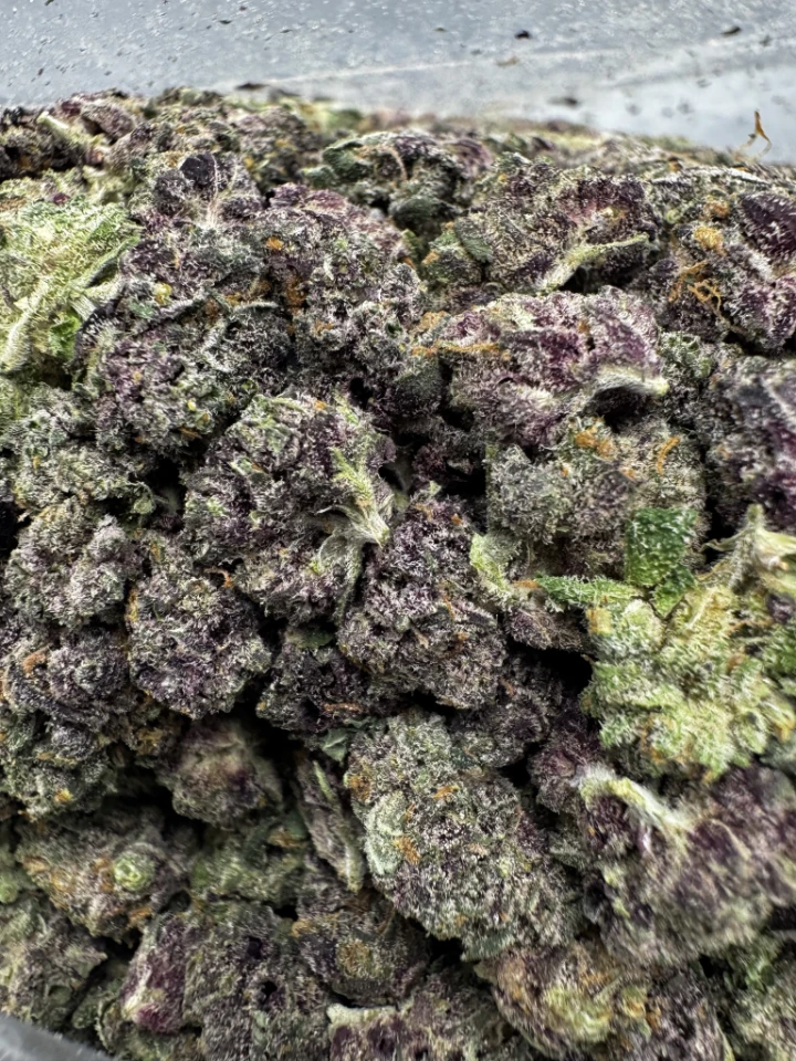 IMG_2595Walter White