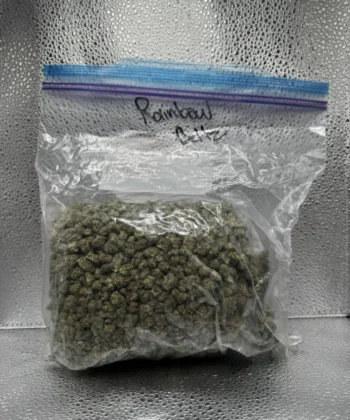 IMG_2599Rainbow Beltz