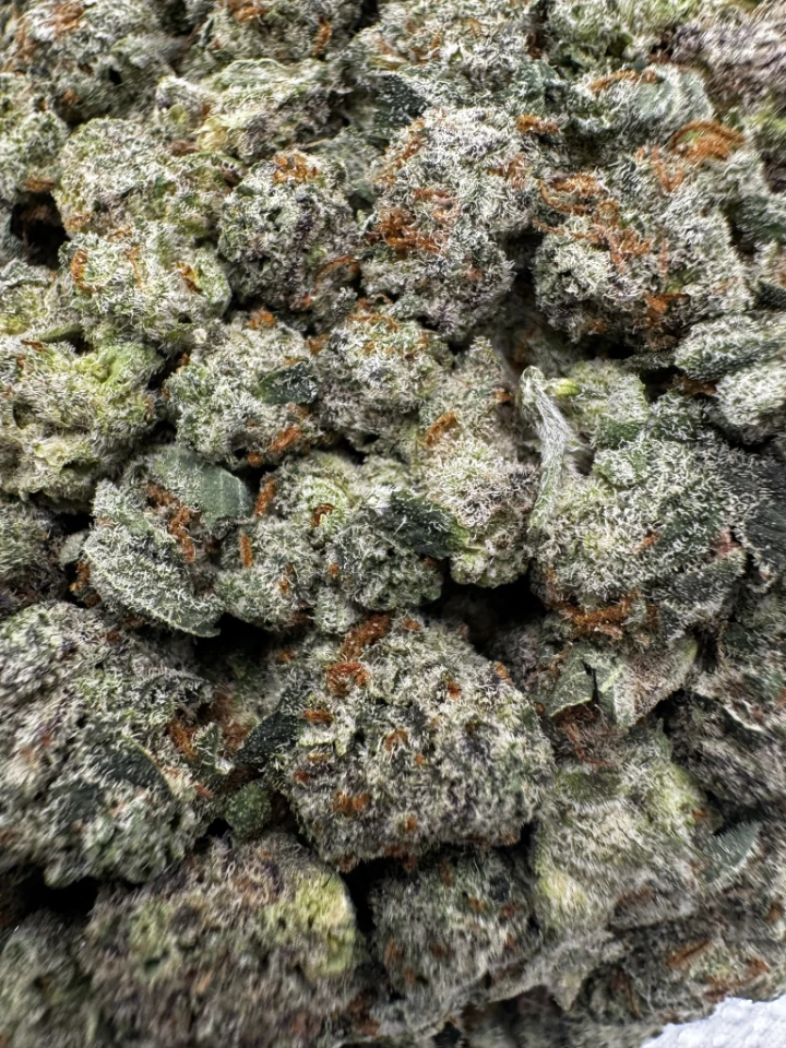 IMG_2601Rainbow Beltz