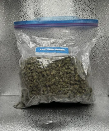 IMG_2608Platinum Bubba