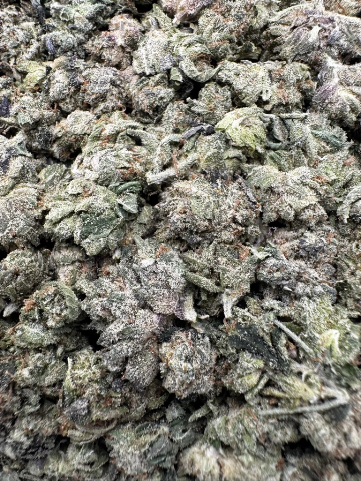 IMG_2610Platinum Bubba