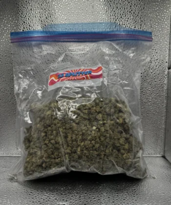 IMG_261733 Splitter (Smalls)