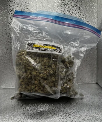 IMG_2629Death Bubba (Smalls)