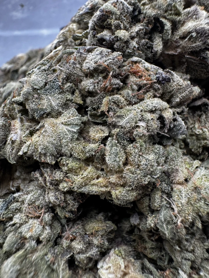 IMG_2631Death Bubba (Smalls)