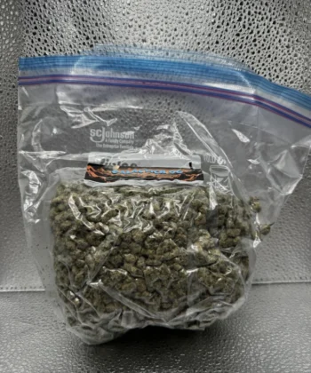 IMG_2647Galactic OG (Smalls)