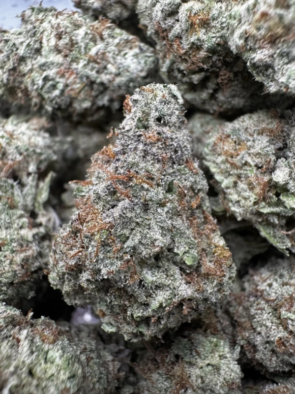 IMG_2698Park Fire OG